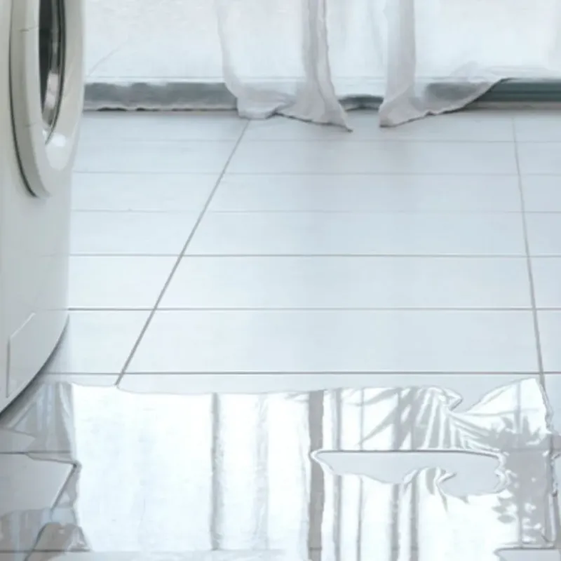 Appliance Leak Cleanup in De Leon, TX