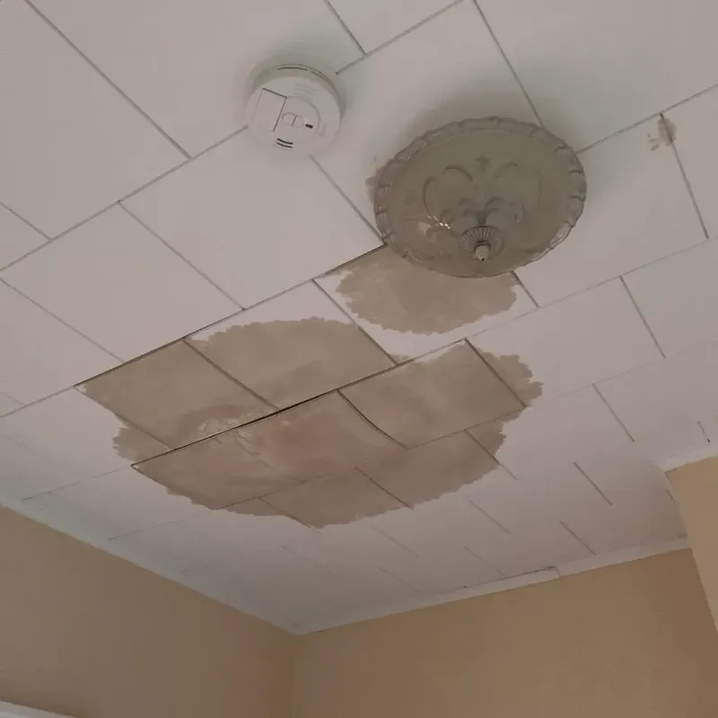 Ceiling Water Damage Repair in De Leon, TX