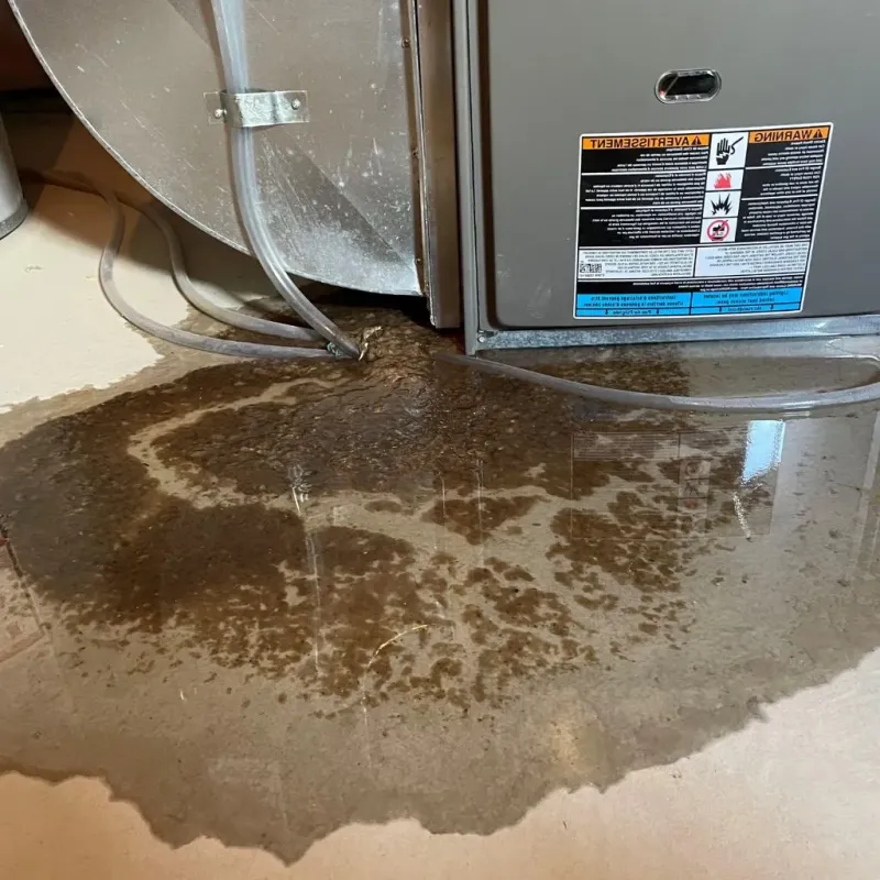 Pipe Burst and Leak Restoration in De Leon, TX