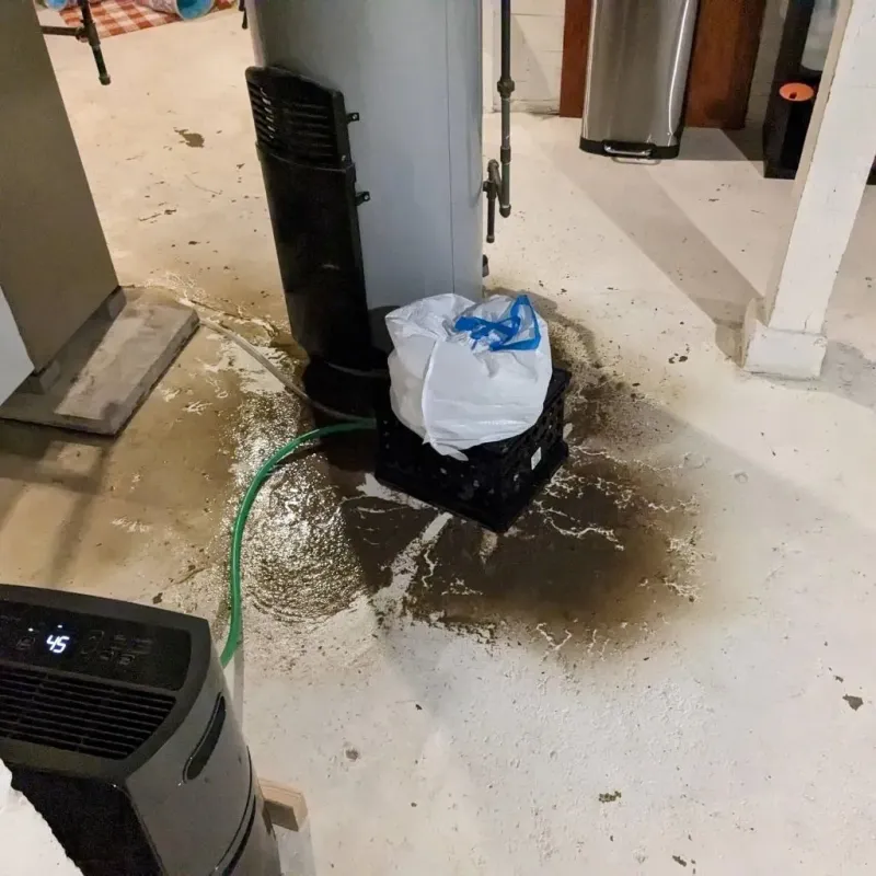 Sewage Backup Cleanup Service in De Leon, TX